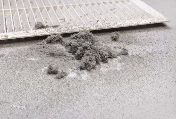 Best Best Air Duct Cleaning Near Me  in Colorado City, AZ